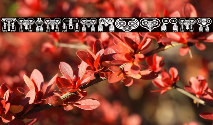 Wakazi Regular Example 1