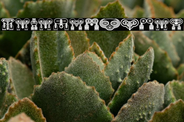 Wakazi Regular Example 3