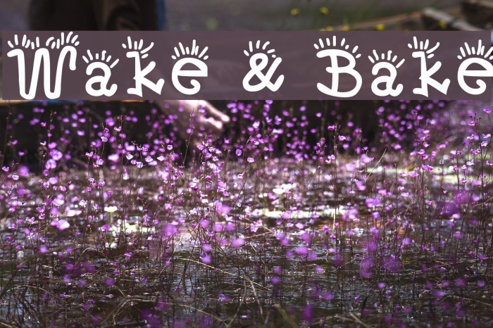 Wake & Bake Font examples