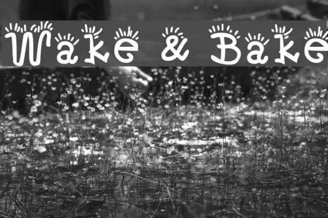 Wake & Bake フォント examples