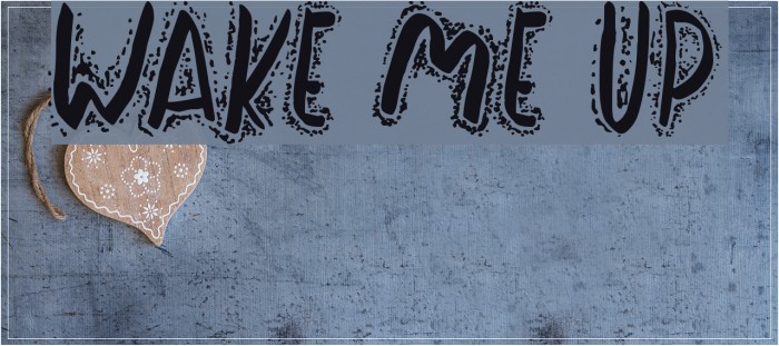 Wake Me Up Example 3