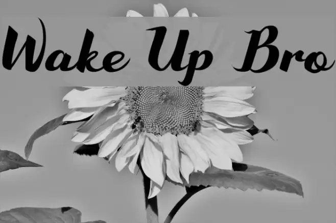Wake Up Bro Font examples