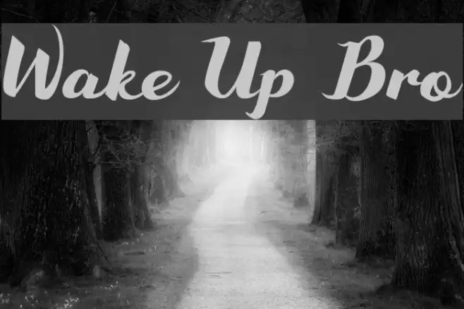 Wake Up Bro Font examples