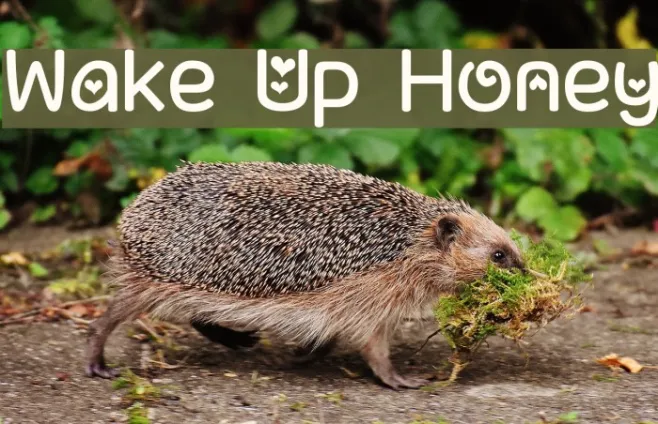Wake Up Honey Example 1