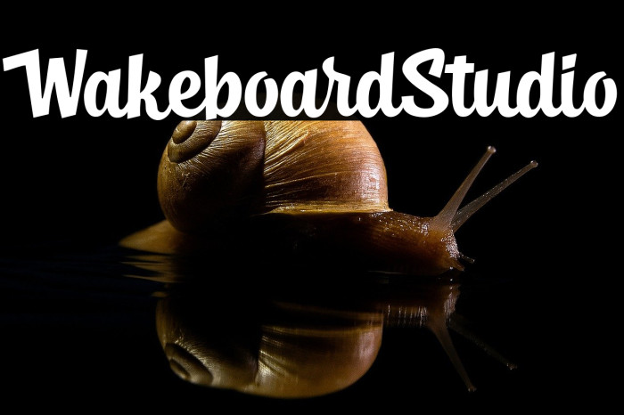 Wakeboard Studio Example 3