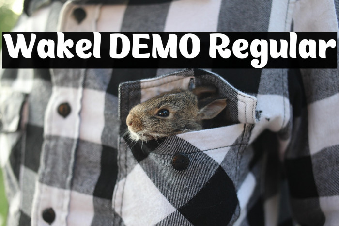 Wakel DEMO Regular Example 3