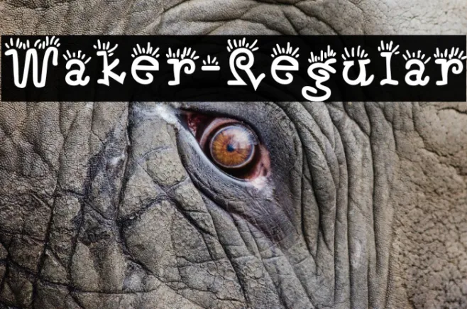 Waker-Regular Example 1