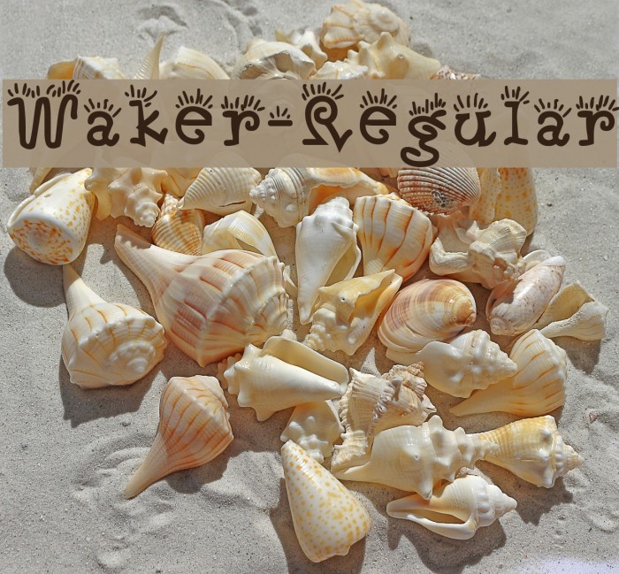 Waker-Regular フォント examples