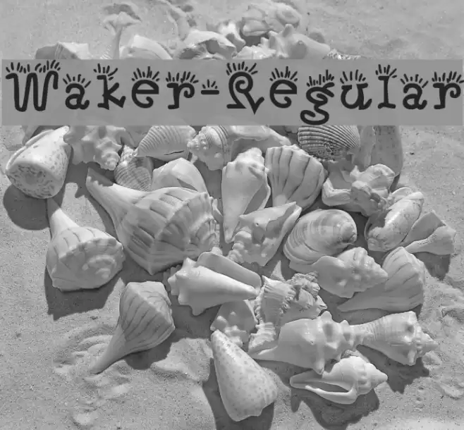 Waker-Regular Font examples