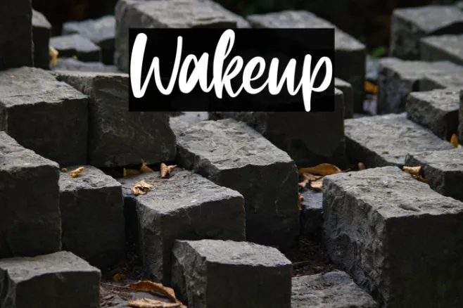 Wakeup Example 2
