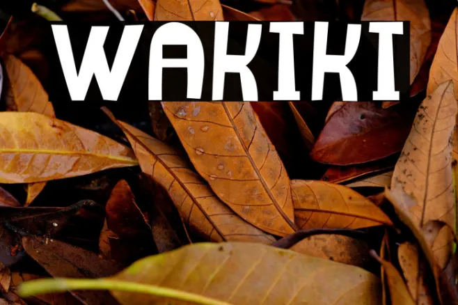 Wakiki Example 1