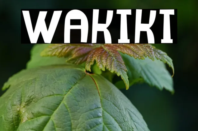 Wakiki Example 2