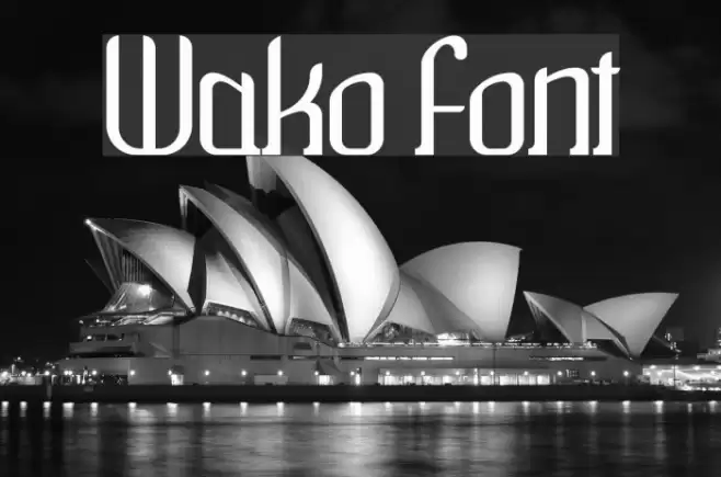 Wako Font examples