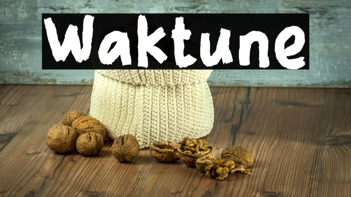 Waktune Example 1