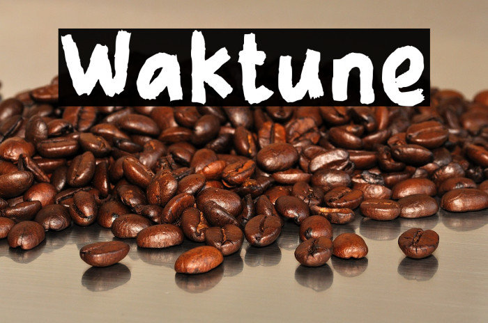 Waktune Example 2