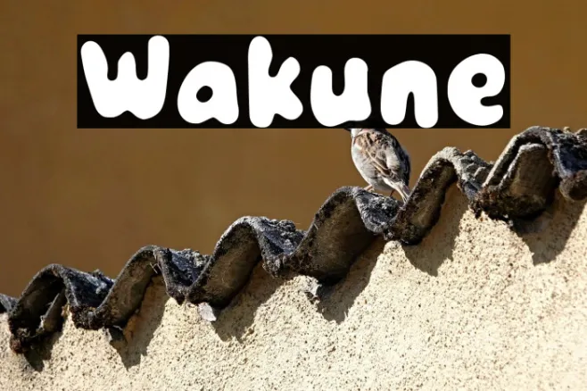 Wakune Example 1
