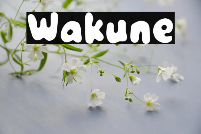 Wakune Example 3