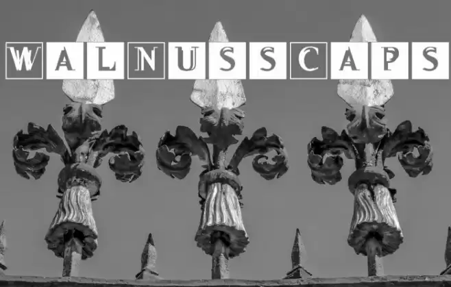 WalNussCaps Font examples