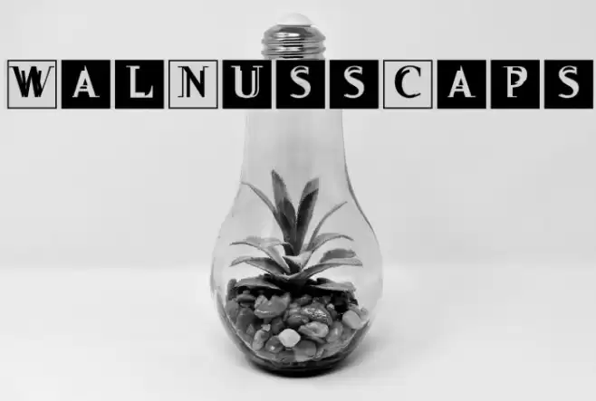 WalNussCaps Font examples