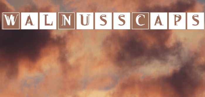 WalNussCaps Font examples