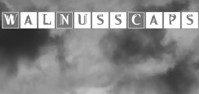 WalNussCaps Font examples