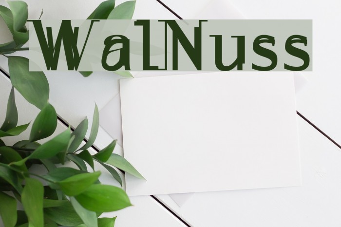 WalNuss Font examples