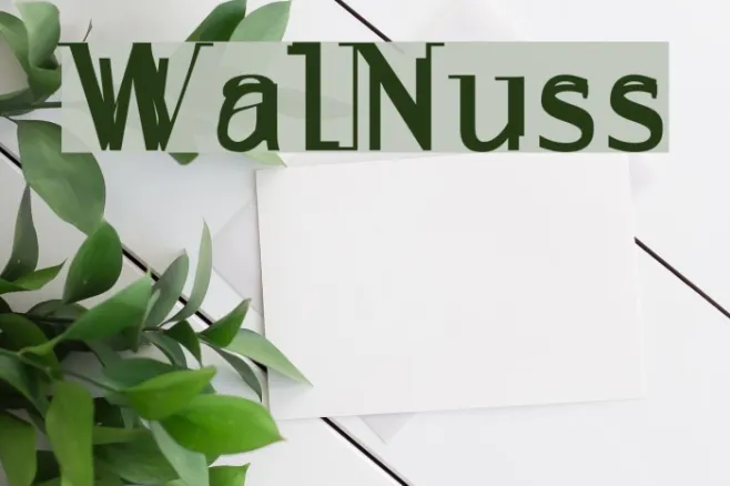 WalNuss Example 2