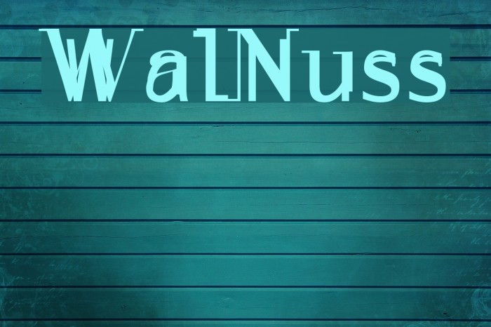 WalNuss Font examples