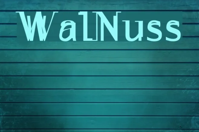 WalNuss Example 3