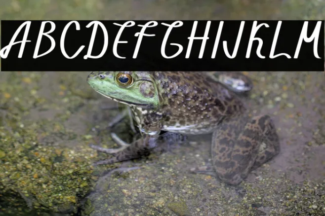 Walahard Example 3