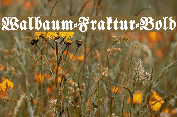 Walbaum-Fraktur-Bold Font examples