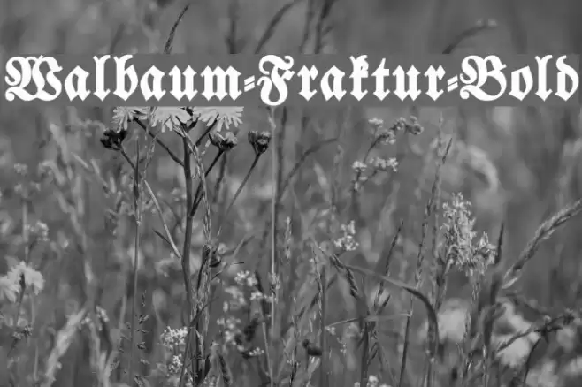 Walbaum-Fraktur-Bold Font examples