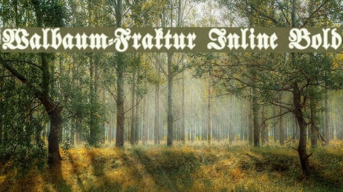 Walbaum-Fraktur Inline Bold Font examples
