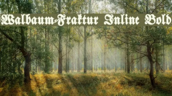 Walbaum-Fraktur Inline Bold Example 2
