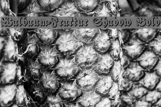 Walbaum-Fraktur Shadow Bold Font examples