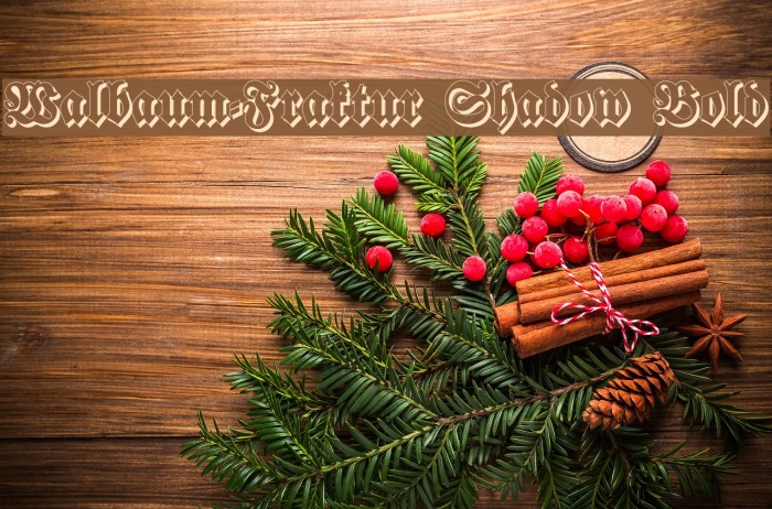 Walbaum-Fraktur Shadow Bold لخطوط تنزيل examples