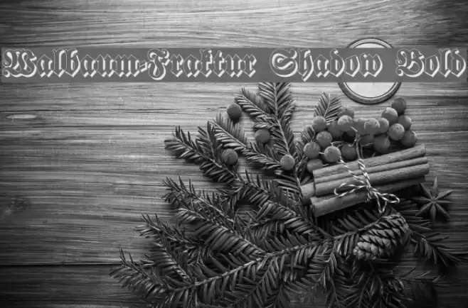 Walbaum-Fraktur Shadow Bold Font examples