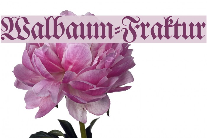 Walbaum-Fraktur Font examples