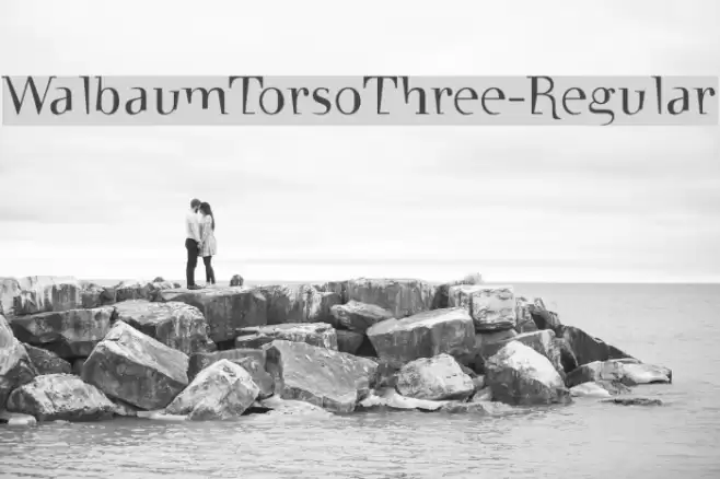 WalbaumTorsoThree-Regular Font examples