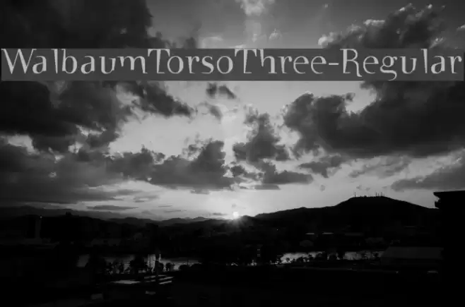 WalbaumTorsoThree-Regular Font examples
