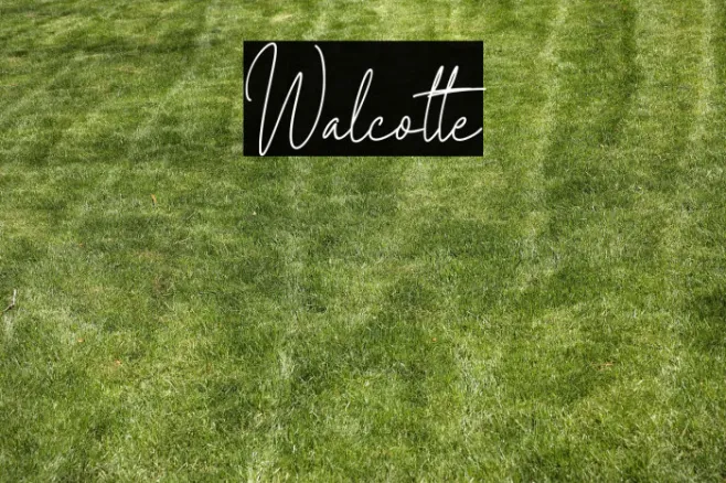 Walcotte Example 3