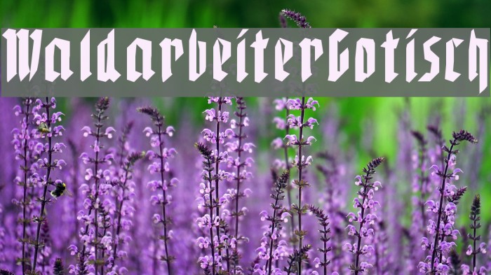 WaldarbeiterGotisch Example 1