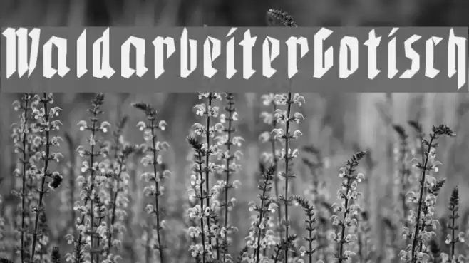 WaldarbeiterGotisch Font examples