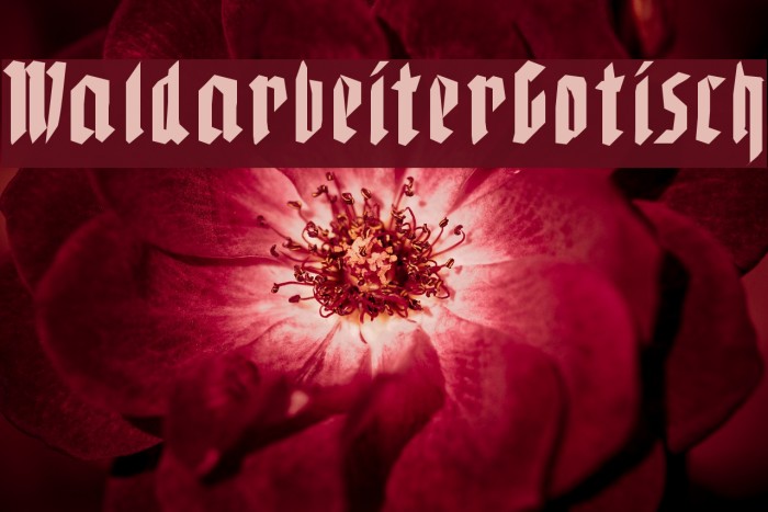 WaldarbeiterGotisch Example 2