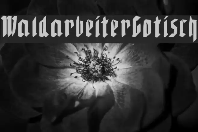 WaldarbeiterGotisch Font examples