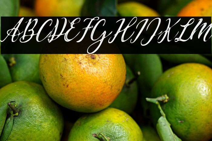 Waldorf Astoria Personal Use Regular Example 1