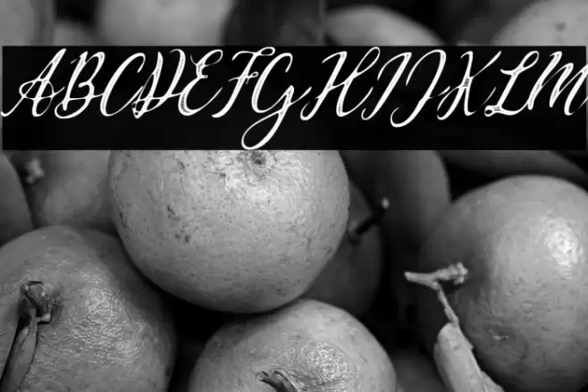 Waldorf Astoria Personal Use Regular Font examples