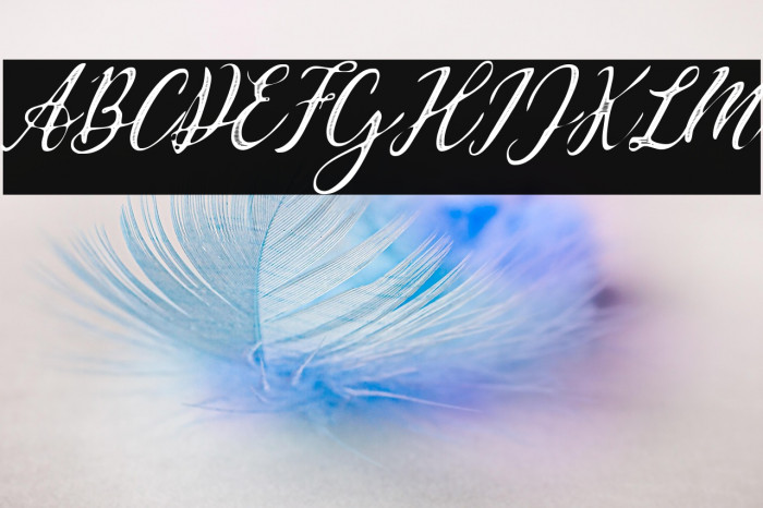 Waldorf Astoria Personal Use Regular Example 2