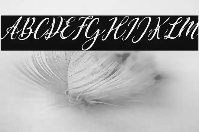 Waldorf Astoria Personal Use Regular Font examples