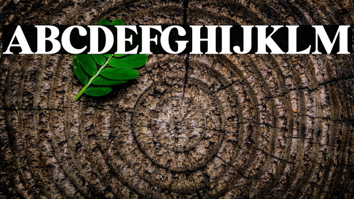 Waldorf Astoria Example 2